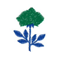 Illustration Flowers