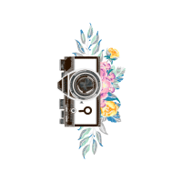 Illustration Flowers