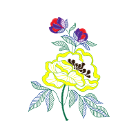 Illustration Flowers