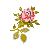 Illustration Flowers