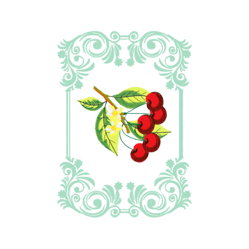 Illustration Flowers Illustration Flowers