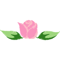 Illustration Flowers