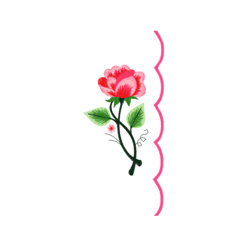 Illustration Flowers Illustration Flowers