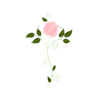 Illustration Flowers Illustration Flowers