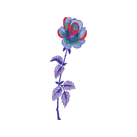 Illustration Flowers