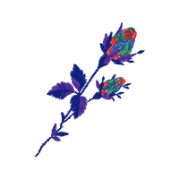 Illustration Flowers