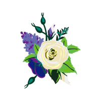 Illustration Flowers Illustration Flowers