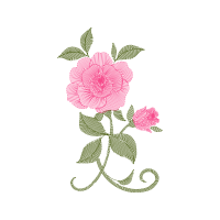 Illustration Flowers Illustration Flowers