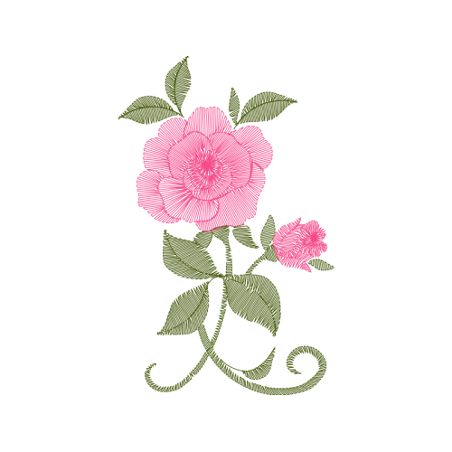 Illustration Flowers Illustration Flowers