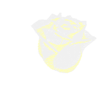 Illustration Flowers