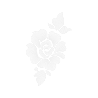 Illustration Flowers Illustration Flowers