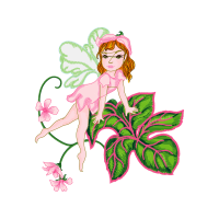 Illustration Flowers