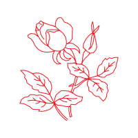 Illustration Flowers