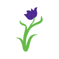 Illustration Flowers