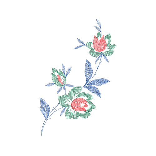 Illustration Flowers Illustration Flowers