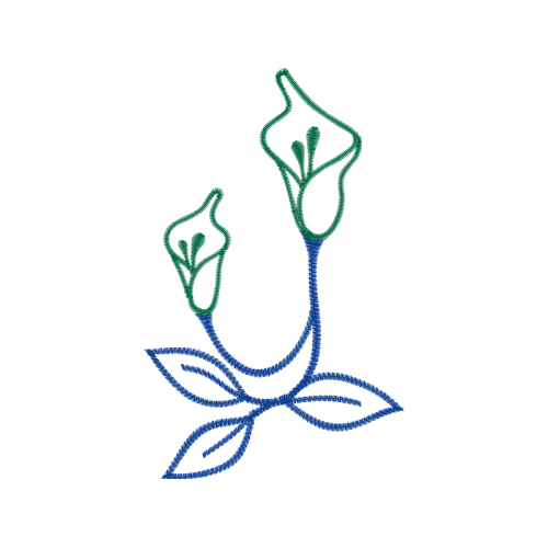 Illustration Flowers Illustration Flowers