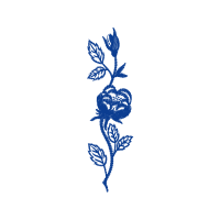 Illustration Flowers Illustration Flowers