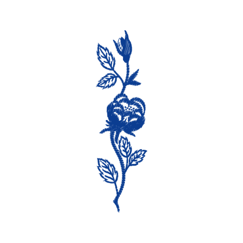 Illustration Flowers Illustration Flowers