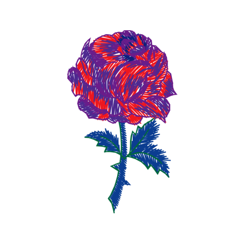 Illustration Flowers Illustration Flowers