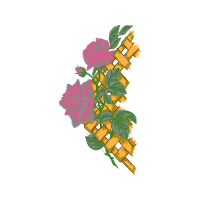 Illustration Flowers