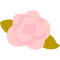 Illustration Flowers