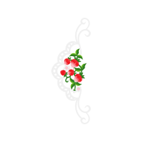 Illustration Flowers