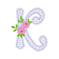 Illustration Flowers