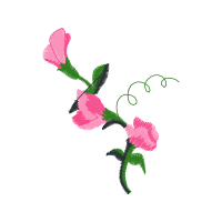 Illustration Flowers Illustration Flowers