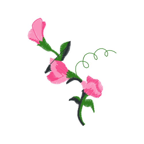 Illustration Flowers Illustration Flowers