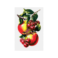 Illustration Flowers