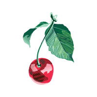 Illustration Flowers Illustration Flowers