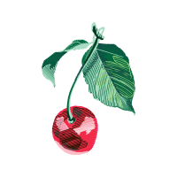 Illustration Flowers Illustration Flowers