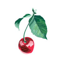 Illustration Flowers Illustration Flowers