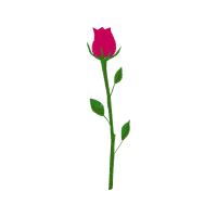 Illustration Flowers