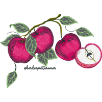 Illustration Flowers Illustration Flowers