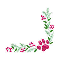 Illustration Flowers Illustration Flowers