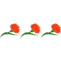 Illustration Flowers Illustration Flowers