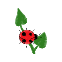 Illustration Flowers Illustration Flowers