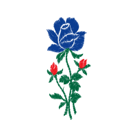 Illustration Flowers