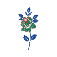 Illustration Flowers Illustration Flowers