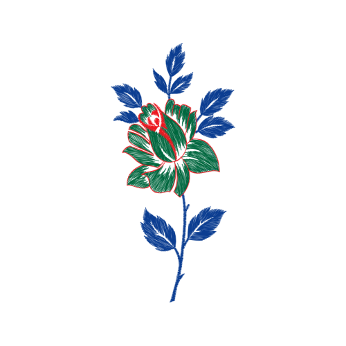 Illustration Flowers Illustration Flowers