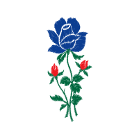 Illustration Flowers