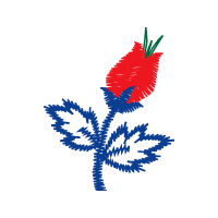 Illustration Flowers Illustration Flowers