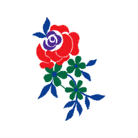 Illustration Flowers