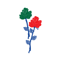 Illustration Flowers