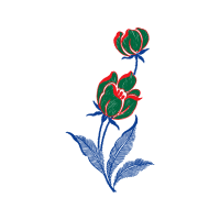 Illustration Flowers Illustration Flowers