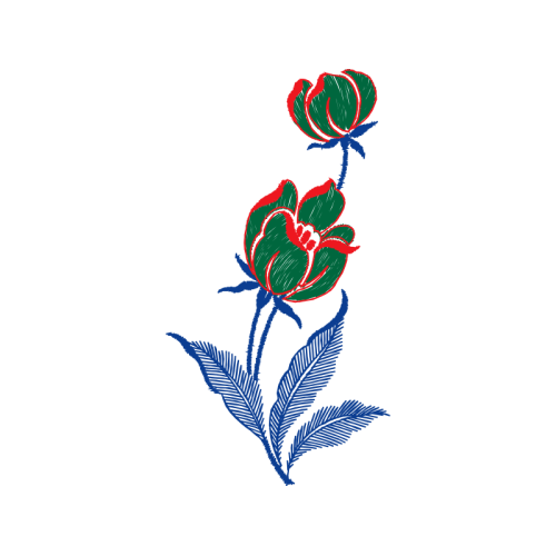 Illustration Flowers Illustration Flowers