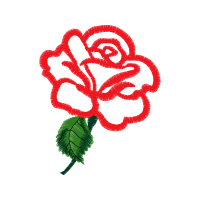 Illustration Flowers