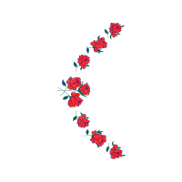 Illustration Flowers