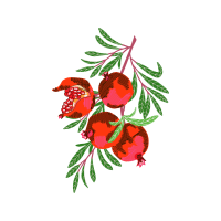 Illustration Flowers Illustration Flowers